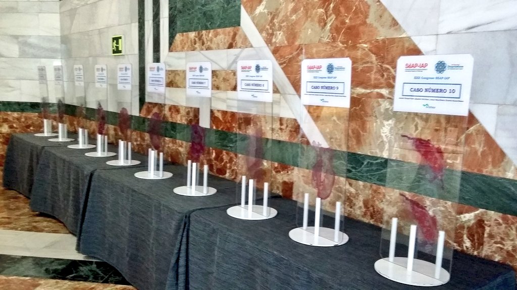 SEAP_IAP's tweet photo. Ya ha comenzado!!!#MacroMicroContest
¡Primer concurso para residentes de diagnóstico 👀 sobre slide, sin #microscopio 🔬! Sólo en #SEAP2019G #Granada @SEAP_IAP.
#Slidegnosis #AnatomíaPatológica https://t.co/FjBa9G6BcA