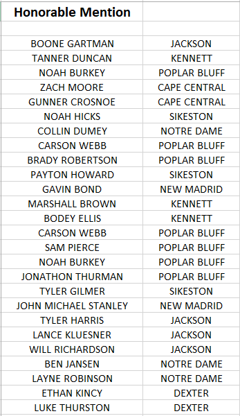 SEMOESPN's tweet photo. The 2019 SEMO All-Conference Baseball team has been released! @ndcapebulldogs JR LHP Kam Dohogne is pitcher of the year, while @sikestonball SR (and UT-Martin commit) Nate Self &amp; @JHS_Indians SR (and @SEMObaseball commit) Landon Hahn share Player of the Year honors. #mopreps https://t.co/Th6j86Wy3Q