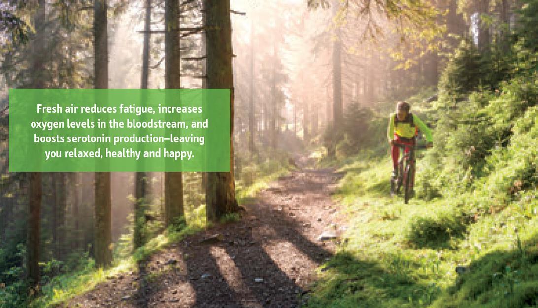 TeldonConnect's tweet photo. Looking for health & fitness tips? Check out our Active Lifestyles tent desk calendar for year-round advice. #WellnessWednesday #wellnessforyou #WorkoutWednesday #everymomentmatters #getoutside #promotionalproducts #naturephotography #loveprint #teldonlife https://t.co/vaZK7Zde1E
