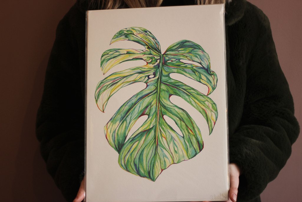 aprilandthebear's tweet image. This minimalist illustrated art print by Claudine O' Sullivan focuses on a beautiful green leaf with a white backdrop. 

And yup, it's gorgeous. 

#leafprint #illustration #greenprint #irishdesign #irishleaf @claudine_os
