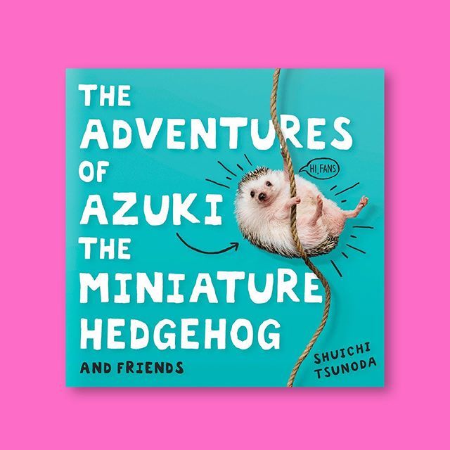 StevePanton's tweet photo. ‘The Adventures of Azuki the Miniature Hedgehog’ 🦔 a new cover for @studio_of_ideas #design #graphicdesign #book #bookdesign #stevepanton #cover #jacketdesign #designer #books #bookworm #bookaday #bookjacket #booksofinstagram #booklover #bibliophile … https://t.co/Eszx0hDyyc https://t.co/yajsJIdMIC