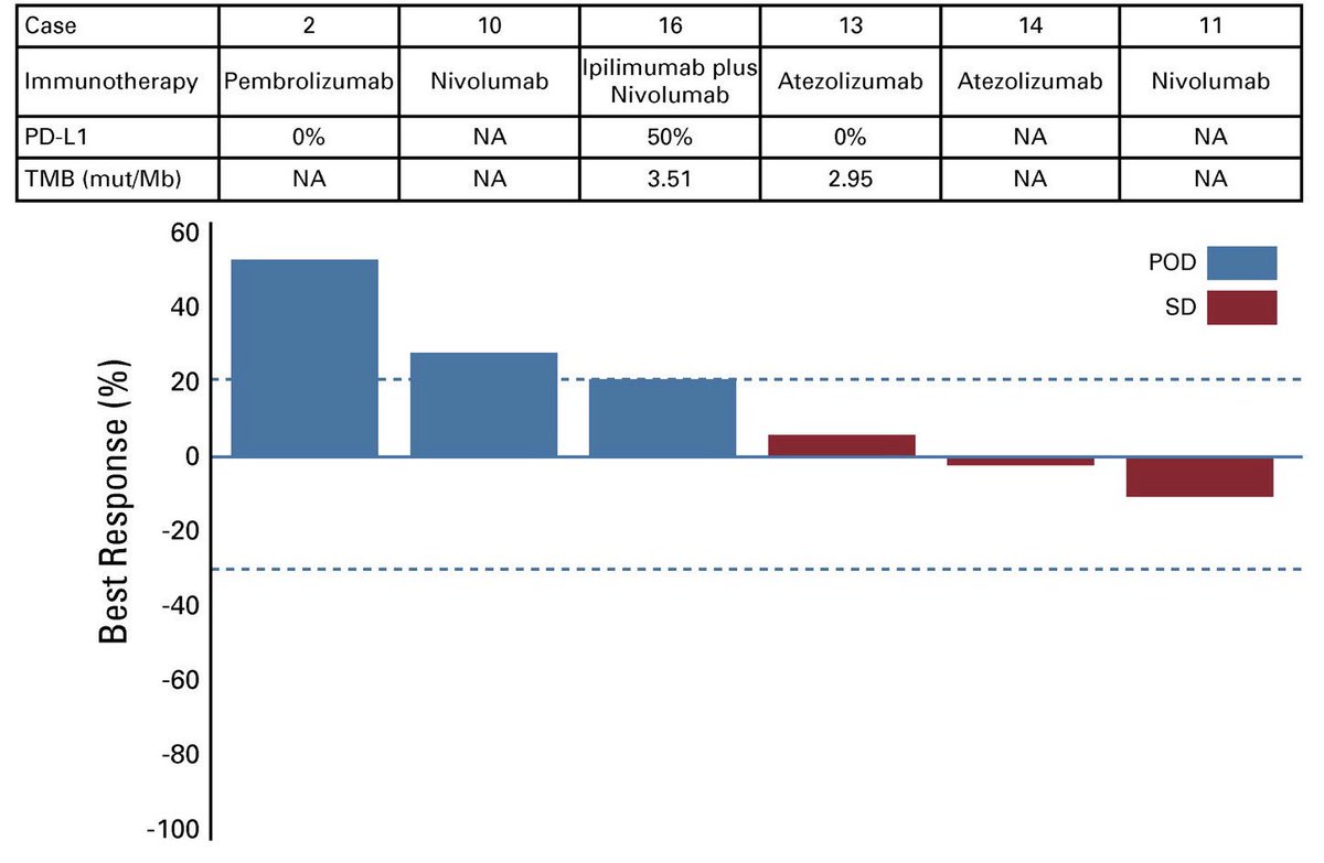 Alexander Drilon MD (@alexdrilon) on Twitter photo Most RET fusion+ NSCLCs have low/no PD-L1 expression and low TMB. No response to single-agent/combination IO was seen in our series. Median PFS: 3.4 months. ascopubs.org/doi/10.1200/PO… <a href="/michael_offin/">Michael Offin</a> <a href="/MLadanyi/">Marc Ladanyi</a> <a href="/RielyMD/">Gʀᴇɢᴏʀʏ Rɪᴇʟʏ</a> <a href="/natasharekhtman/">Natasha Rekhtman MD PhD</a> <a href="/RymaBenayed/">Ryma Benayed</a> <a href="/dazhiliurx/">Dazhi Liu, Pharm.D, BCOP</a> Most RET fusion+ NSCLCs have low/no PD-L1 expression and low TMB. No response to single-agent/combination IO was seen in our series. Median PFS: 3.4 months. ascopubs.org/doi/10.1200/PO… <a href="/michael_offin/">Michael Offin</a> <a href="/MLadanyi/">Marc Ladanyi</a> <a href="/RielyMD/">Gʀᴇɢᴏʀʏ Rɪᴇʟʏ</a> <a href="/natasharekhtman/">Natasha Rekhtman MD PhD</a> <a href="/RymaBenayed/">Ryma Benayed</a> <a href="/dazhiliurx/">Dazhi Liu, Pharm.D, BCOP</a>