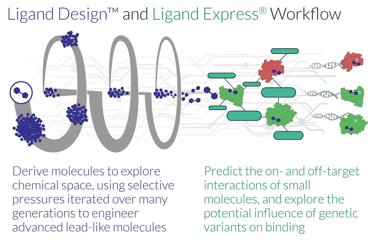 realmargaretta's tweet photo. Shout out to @Cyclica for launched their next gen platform Ligand Design. Their vision is to minimize potential downstream side effects and to reduce drug discovery time from 7 years to 2 years. https://t.co/D7pRqOAsFv @NaheedKurji @PharmaIQ @OutsourcPharma @PharmExec #biopharma https://t.co/fOUoPREak9