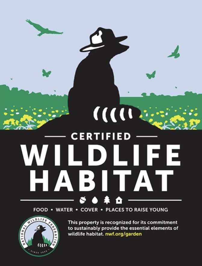 whitmaupin's tweet photo. Guess what!?! Our campus is now a Certified Schoolyard Habitat!! Woohoo!! @EscandonEagles https://t.co/jxqYlLpAng