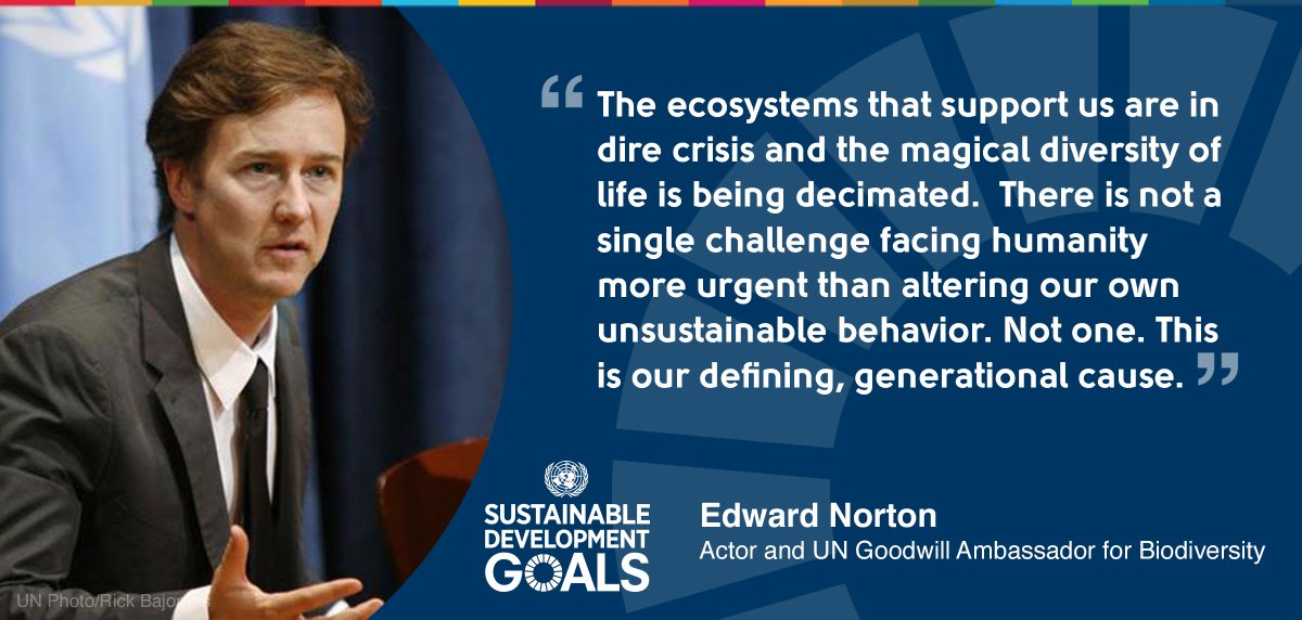 GlobalGoalsUN's tweet photo. “There is not a single challenge facing humanity more urgent than altering our own unsustainable behavior. Not one. This is our defining, generational cause.” On #BiodiversityDay, @UN Goodwill Ambassador for Biodiversity @EdwardNorton calls for action to protect biodiversity. https://t.co/tzcmeJdGUQ