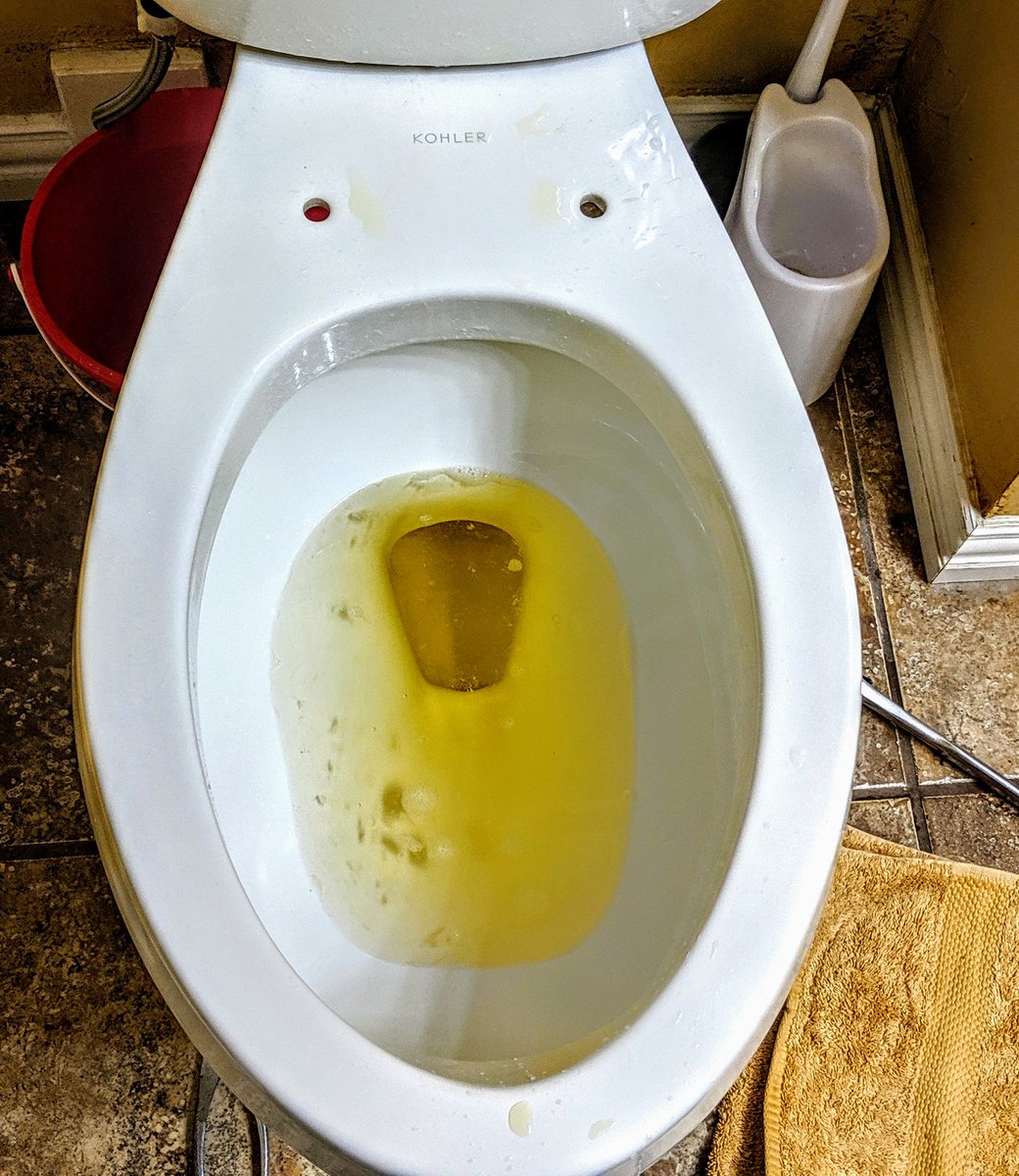 Zeeboid's tweet photo. Bought a new toilet.
Showed it Who is Boss by promptly pissing all over it.
#PeeGoodness #SeeGoodness #LikeABaws #ManTime #Toilet #Kohler https://t.co/N8OhkqTn39