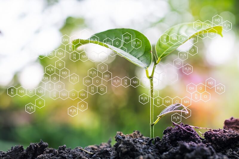 agqlabsusa's tweet photo. In #plant #nutrition, it is important that there is no deficiency in primary or secondary #macroelements or in essential #microelements
#farming #agriculture #agronomy #crops
https://t.co/G9Yu6U6BwF https://t.co/LTfEoXcazn