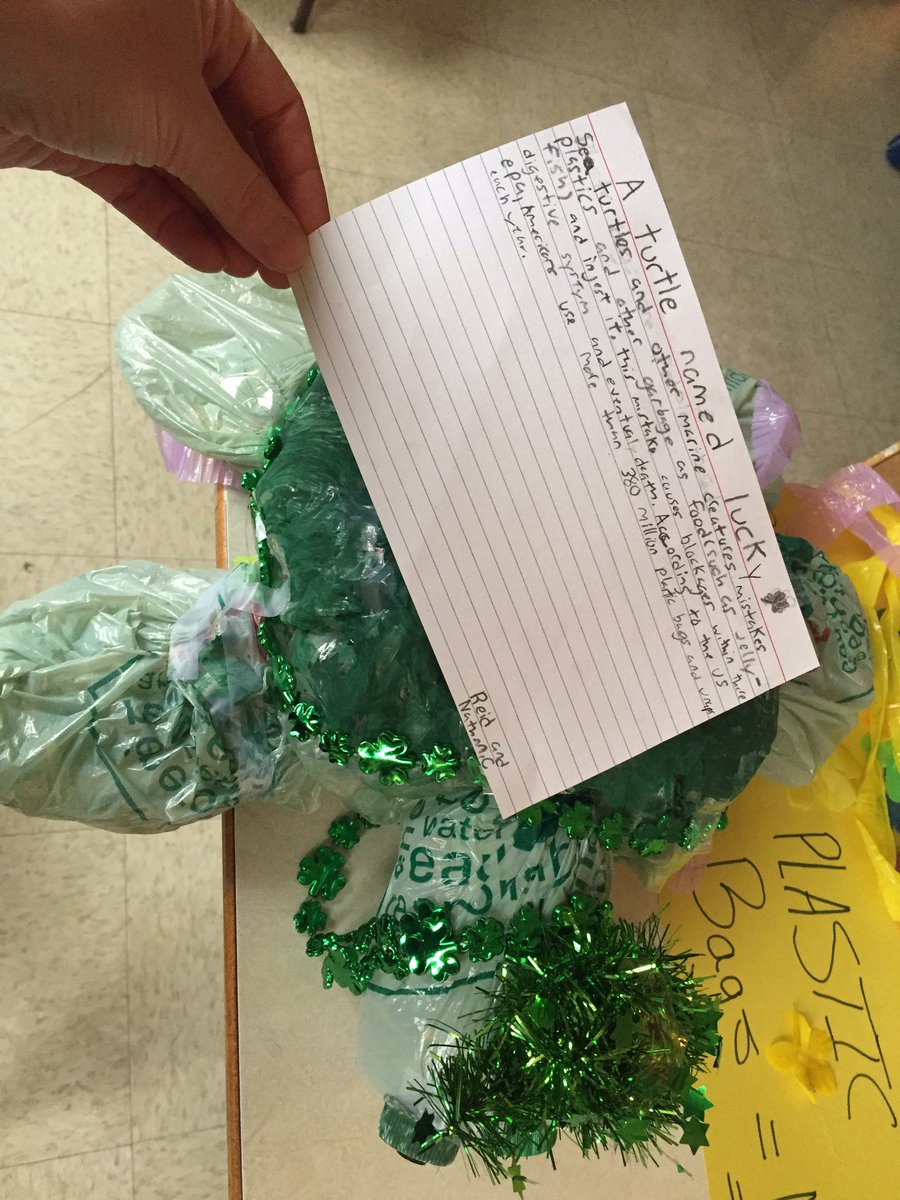 GreenSchools_NS's tweet photo. The passion students @ssrsbnrcs have for the 🌎 inspires me every time I visit! Examples of greening are everywhere but most importantly in their knowledge. @SSRCE_NS @ceilisims https://t.co/rNMnfye6kY