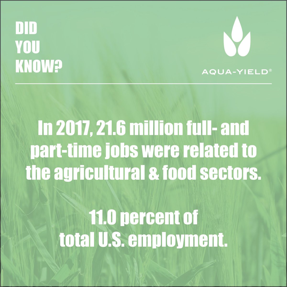 nanoyield's tweet photo. #DidYouKnow More than 10% of U.S. employment is related to the agriculture and food sectors? Aqua-Yield was founded by farmers to support farmers and we're proud to support the agricultural sector. #agriculture #farming #nanoshield #aquayield #farmingfact #DYK #sustainability https://t.co/M6PB8nKjCi