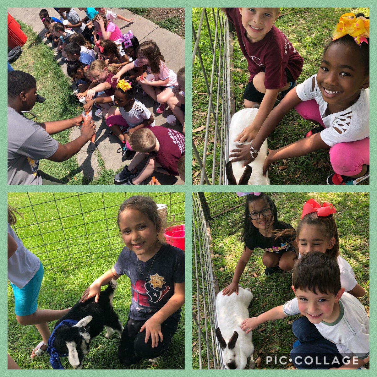 We had the best time today! Petting Zoo fun! We also learned about fruits &amp; veggies! #AgDay2019 <a href="/CrosbyKinder/">Crosby Kindergarten</a>