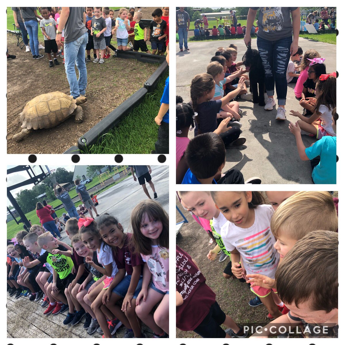 We had the best time today! Got to see turtles, pet dogs, have a hay ride, &amp; so much more! #AgDay2019 <a href="/CrosbyKinder/">Crosby Kindergarten</a>