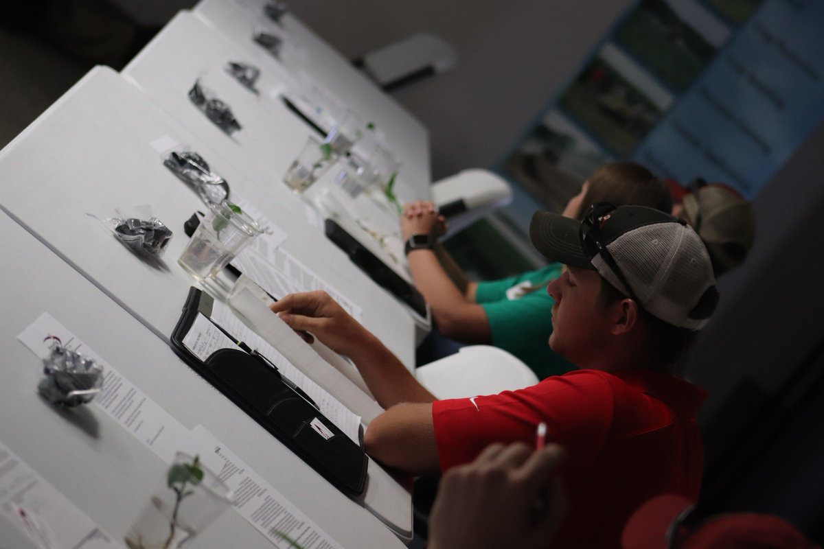 PrairielandFS's tweet photo. Our Interns and Crop Scouts have gathered today at our Jacksonville, IL office for Crop Scout School. This morning they learned about corn and soybean anatomy from @MaggartDan.  #Scout18 https://t.co/UOQHiClpkr
