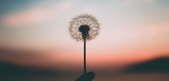 heidibrinckmann's tweet photo. No one is you and Thats your super power🌸

🌸#beyou #beanoriginalnotacopy #livelife #dowhatmakesyoursoulhappy 🌸 https://t.co/W5B0Iaqj5C