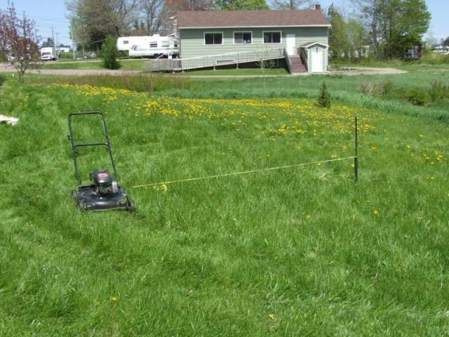 CardiffDHall's tweet photo. Ever notice uncut lawns? Inside this LinkedIn article I discuss how this can apply to many who have resigned to life. #Productivity #work #LinkedIn #personalresponsiblity #success #cardiffdhall #speaker 
https://t.co/299m5xZY37 https://t.co/GjBmSRl6Ta