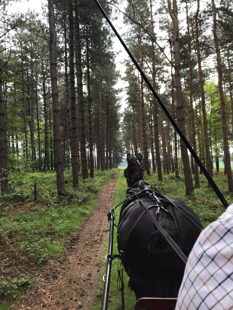 We had a fabulous first event at Thoresby Hall last weekend, have you entered our next one at Locko Park near Derby on June 8&amp;9 yet? <a href="/bcarriagedrive/">British Carriagedriving</a> <a href="/CarriageMag/">Carriage Driving Mag</a> <a href="/North_Mids_RDA/">North Midlands RDA</a> <a href="/SimpleSystemUK/">Simple System Horse Feeds</a> @BritishHorse @NFUEastMidlands