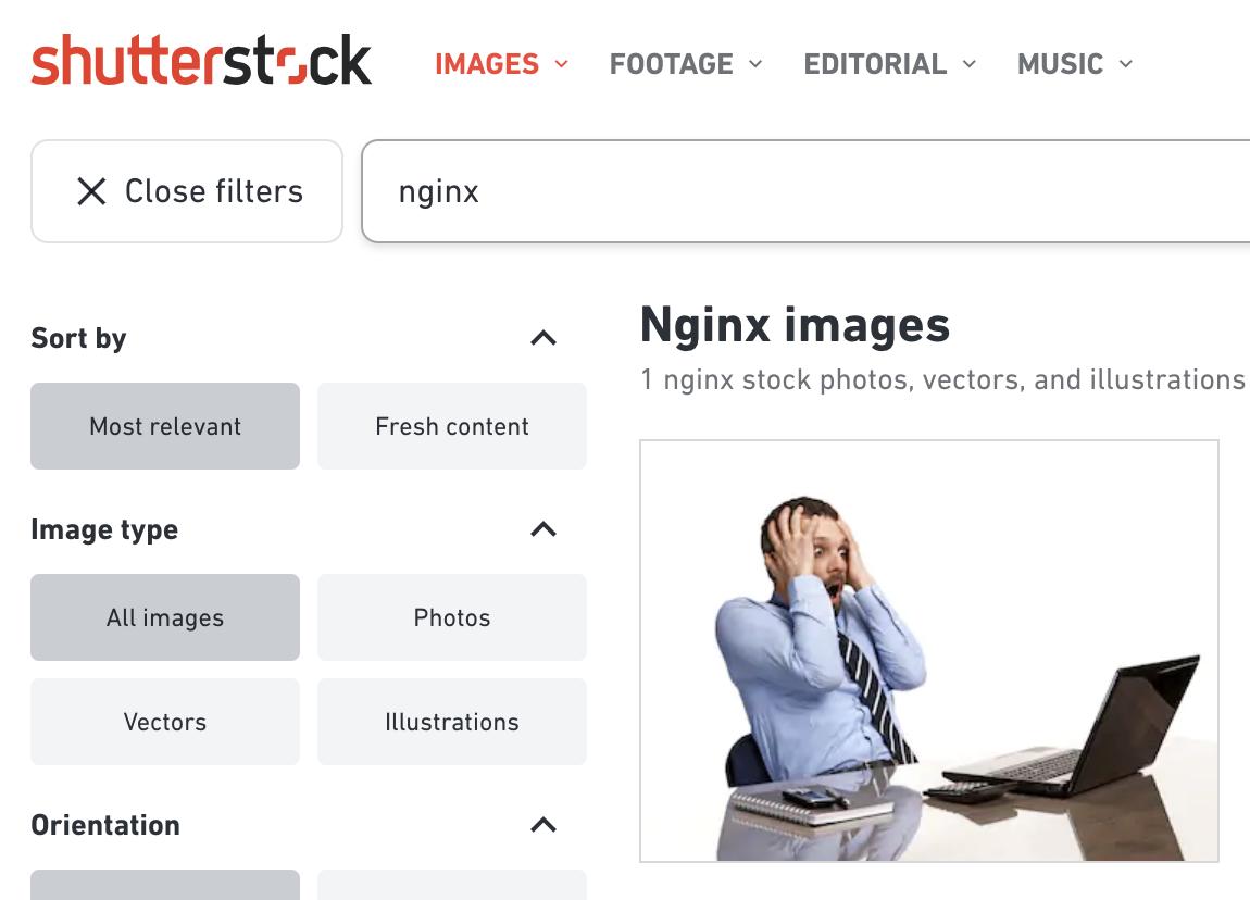 Shutterstock only returns 1 image if you search for "nginx"