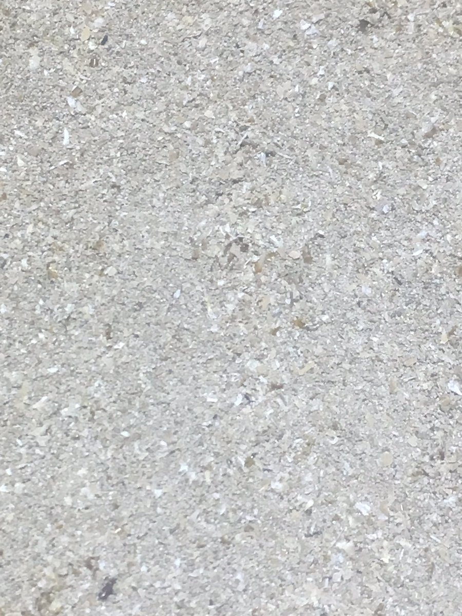 RedSquigglers's tweet photo. #Mealworm #Frass #soilimprover #composting
$7 per pound Local pickup
$1 discount per extra pound
+$7 shipping https://t.co/JDltHYl6xz