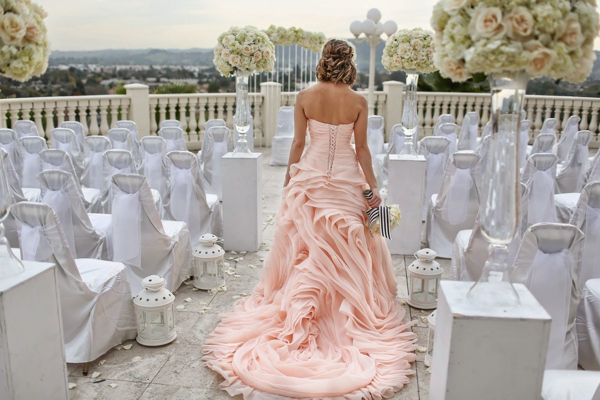 cocopalmdining's tweet photo. What a stunning shot and gorgeous dress! 😍 https://t.co/WCWRYaOj6h