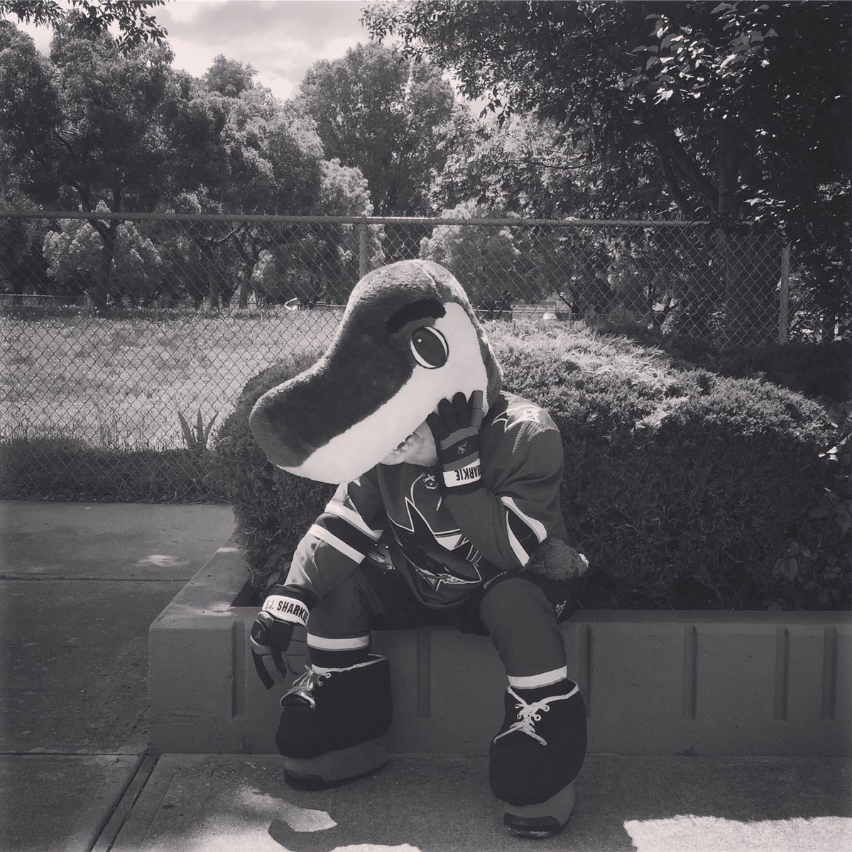 sjsharkie's tweet image. #CurrentMood: