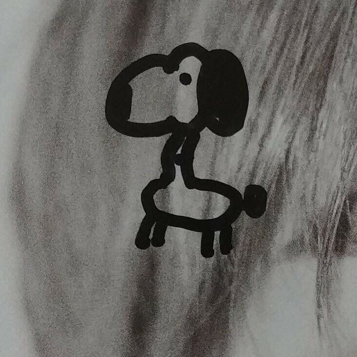 gothwoo666's tweet photo. jungwoo snoopies https://t.co/2UAO1fxHCO