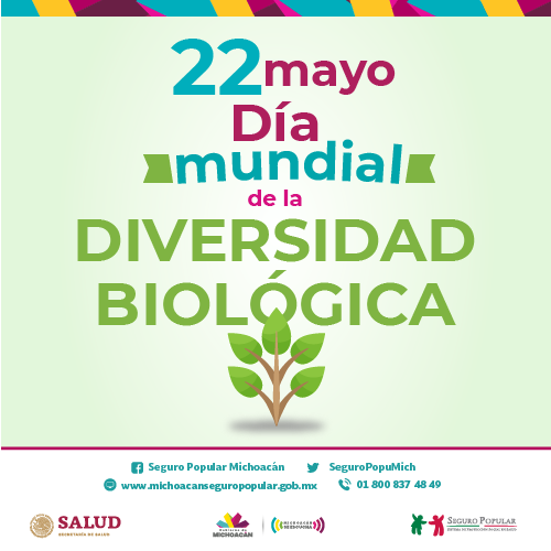 SeguroPopuMich's tweet photo. Día Mundial de la Diversidad Biológica
#ElSeguroPopularseTransforma
#MichoacánseEscucha https://t.co/07I8oIxNaM