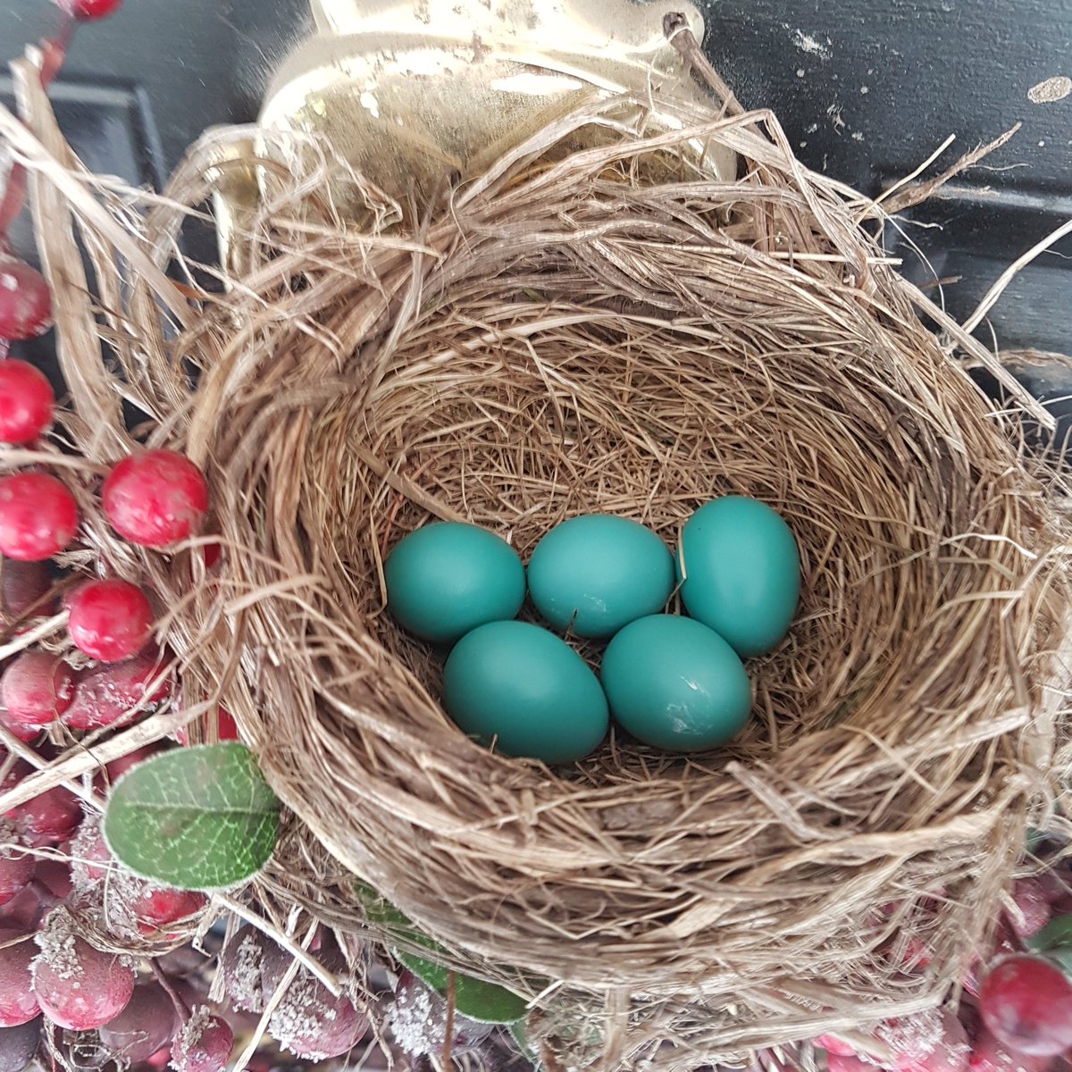 quinn_ginger's tweet image. Halton Hills Destination Downtown My Front Door
#artificialhousing
#wouldyoubringyourkidsuphere?
#protectourtrees
#wealldeservebetter!