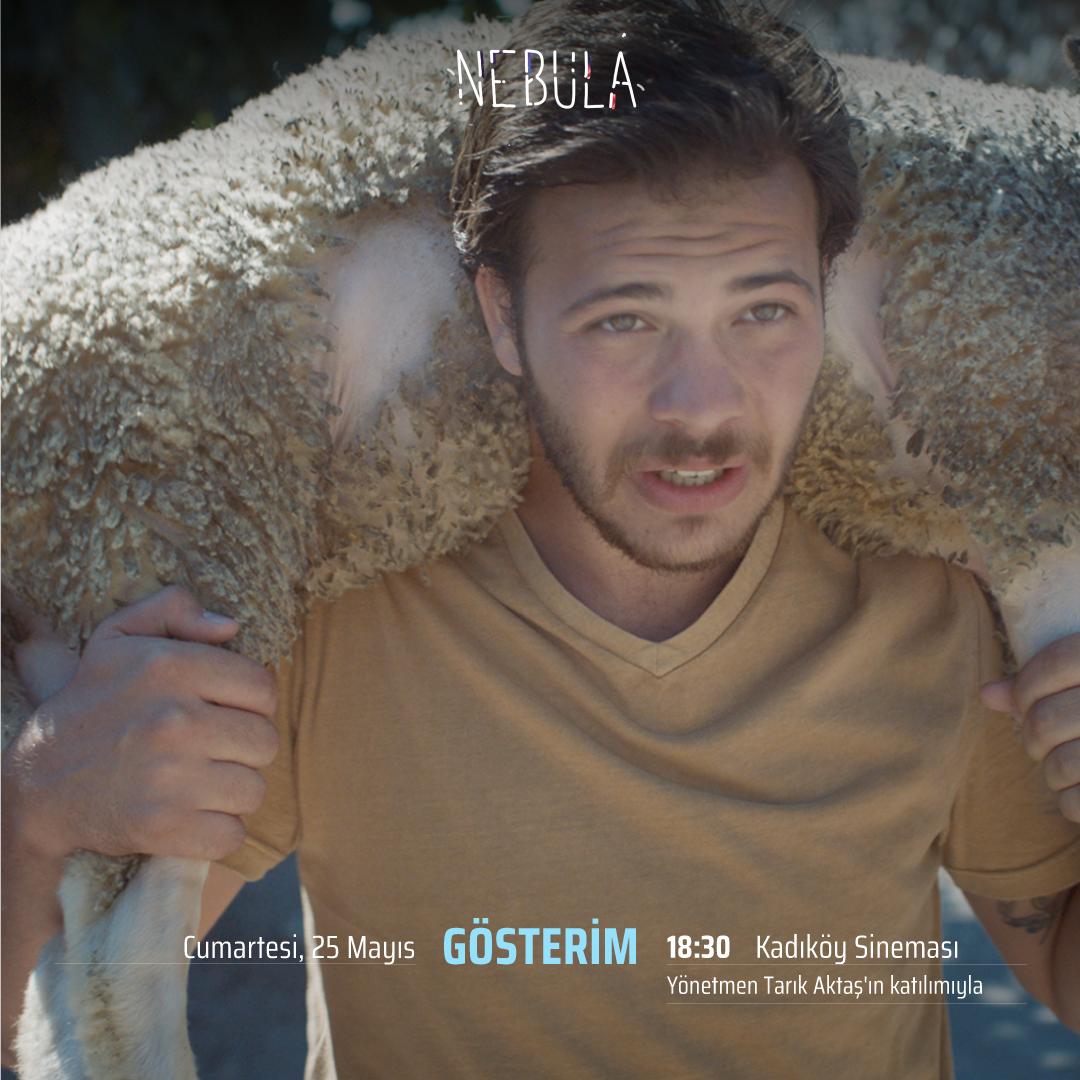 FilmHay's tweet photo. #Locarno71'den En İyi Yeni Yönetmen ödüllü #Nebula 25 Mayıs 18.30'da @kadikoysinemasi'nda gösterilecek. Gösterim sonrası @ali_vatansever moderatörlüğünde #TarıkAktaş söyleşisine bekliyoruz: https://t.co/U4WXS4DqPf https://t.co/B0YCqaoFZl