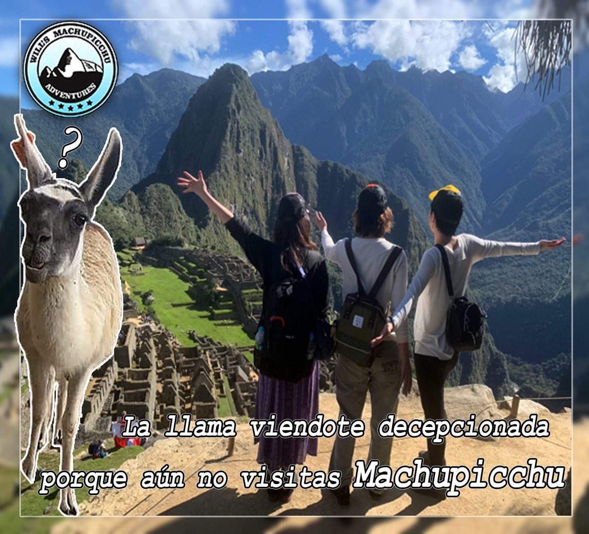 willmapi's tweet photo. No sueñes tu vida, vive tu sueño.
#machupichu #cusco #travel #new #experence #friends #together #girls #friends #mountain #top #happy https://t.co/KG3VqO3POi