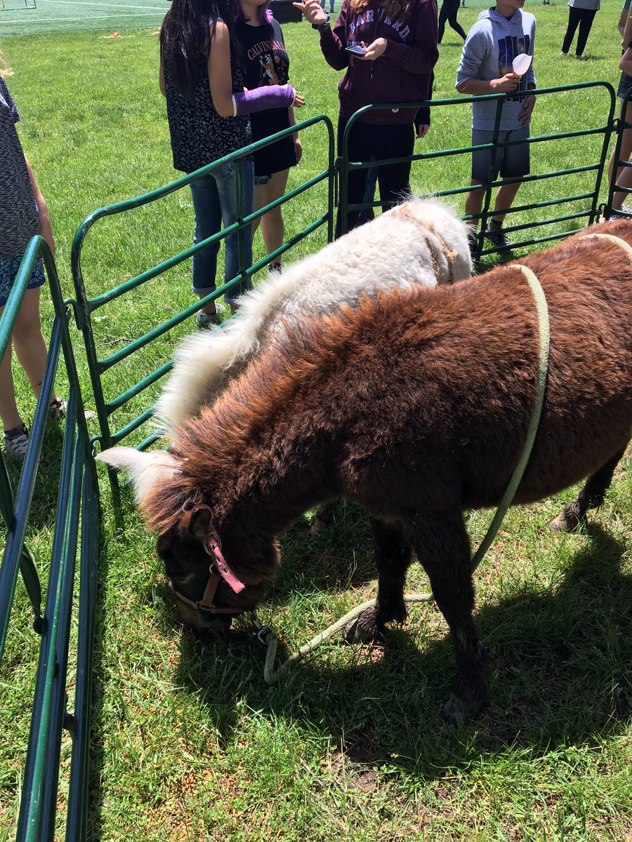 mrs_oglesby's tweet photo. Great way to end an awesome year at the Woods!!! Thank you Sunset Trails Stables and @KONAICE!! So much fun!! @IWMS_pack #smsdPACK https://t.co/87U8q9fH8q