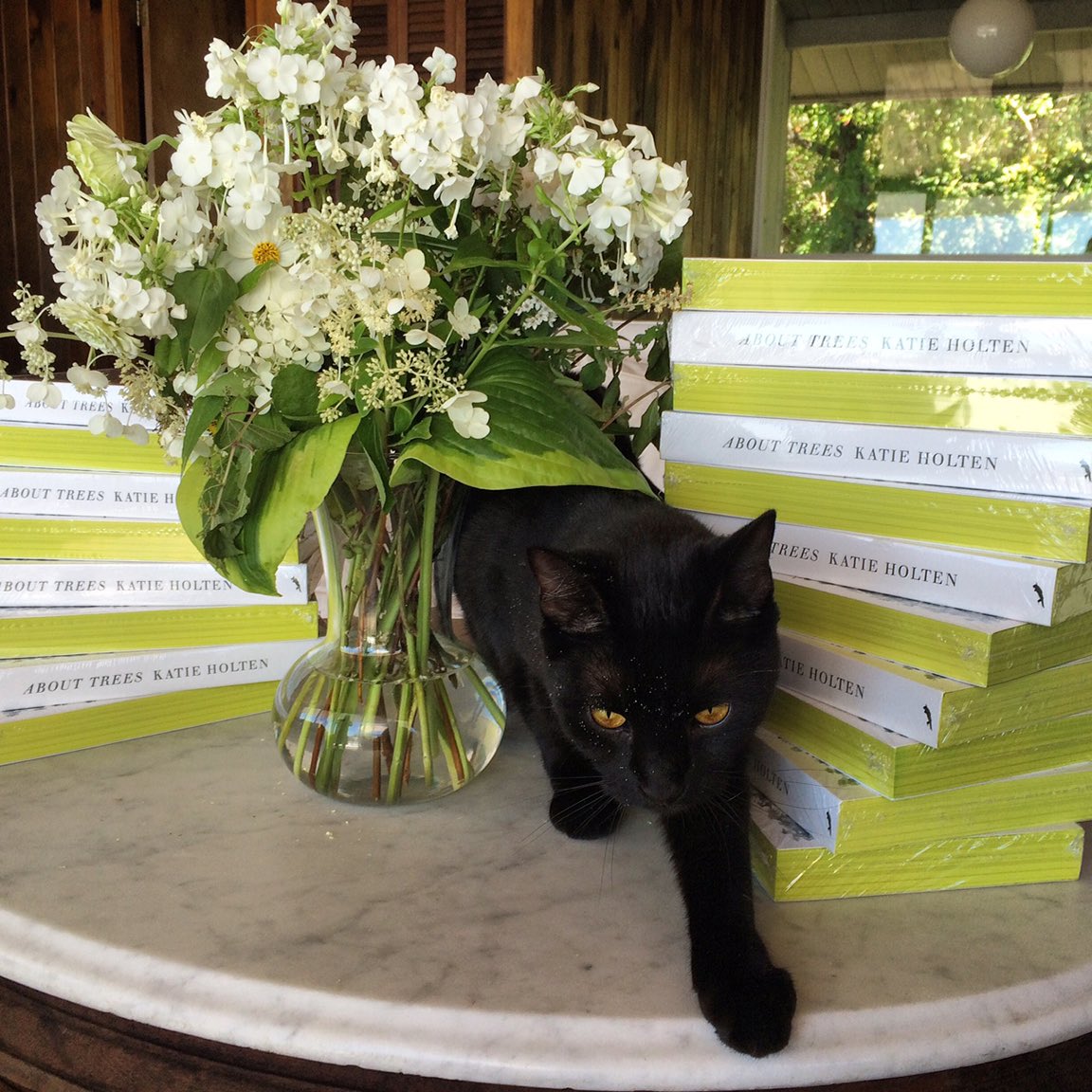 katieholten's tweet photo. People have been asking me where they can get copies of my book #AboutTrees, and discover why @maxjohnporter says โI consider this book to be a masterpiece.โ
Direct from the publisher @brokendimanche, or indie bookstores.
Just heard that @JohnSandoe has it in stock. https://t.co/USQiaWLcJ7