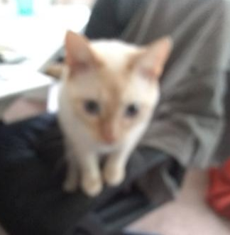 _penywise_'s tweet photo. soft focus https://t.co/o0imZjhYL4