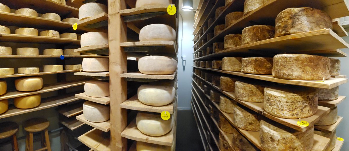 J. Kyle Beimfohr tweet media