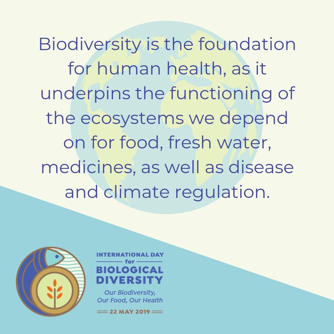LivingGreenDC's tweet photo. Happy International Day for Biological Diversity! Days like today draw attention to the plight of many species on our planet in rapidly-changing ecosystems. Even small, every-day decisions can help promote biodiversity, like designing your garden to attract pollinator species 1/2 https://t.co/q44MIXYjla