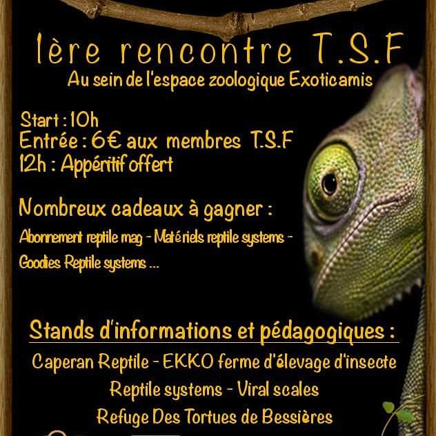 EInsectes tweet picture