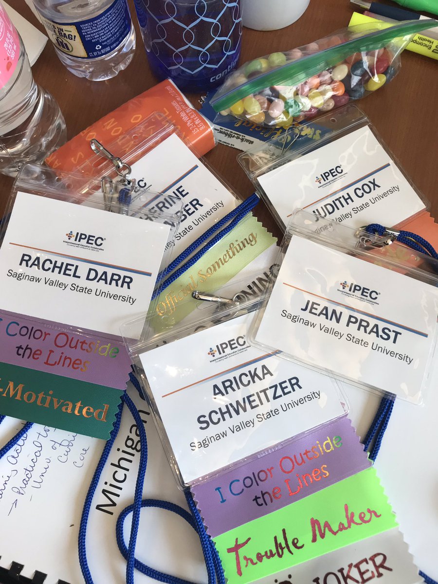 SVSUSocialWork's tweet image. #IPECSpring19 Michigan Cardinals hard at work.