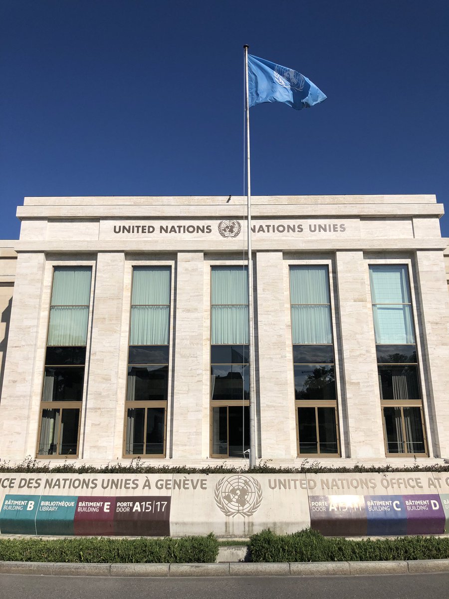 A favourite moment at #WHA72 - @DrTedros and the mop. Great words spoken by all reps today on going back to #basics in #WASH and #DCP in a session moderated by my own country’s @DrMariaNeira 🇪🇸 #WASHWednesday