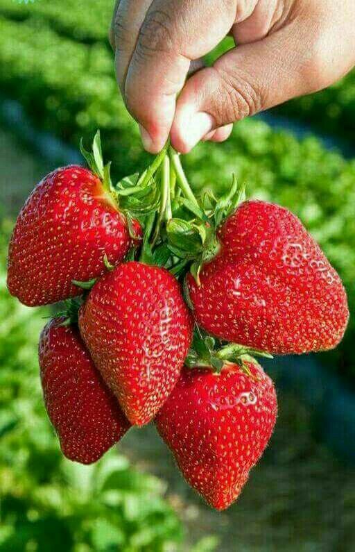 Oskar Maciejowski tweet media