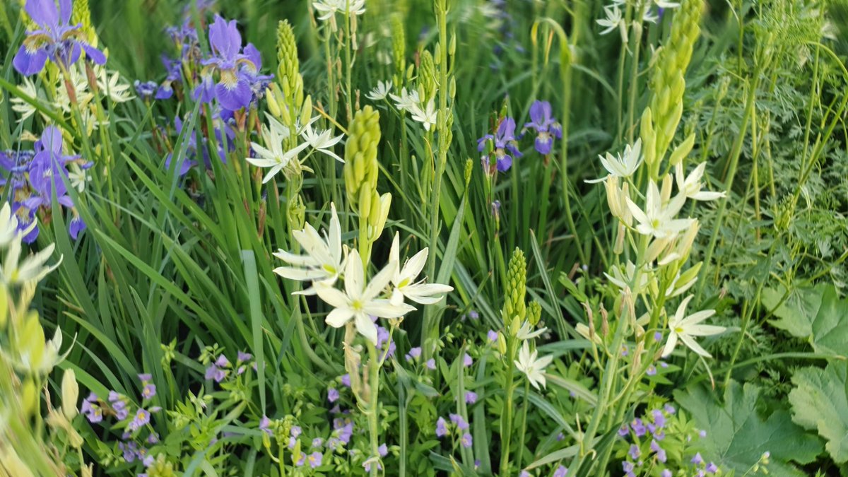 Jeremy Vine | Here, on Tiktok, Insta & Facebook tweet media