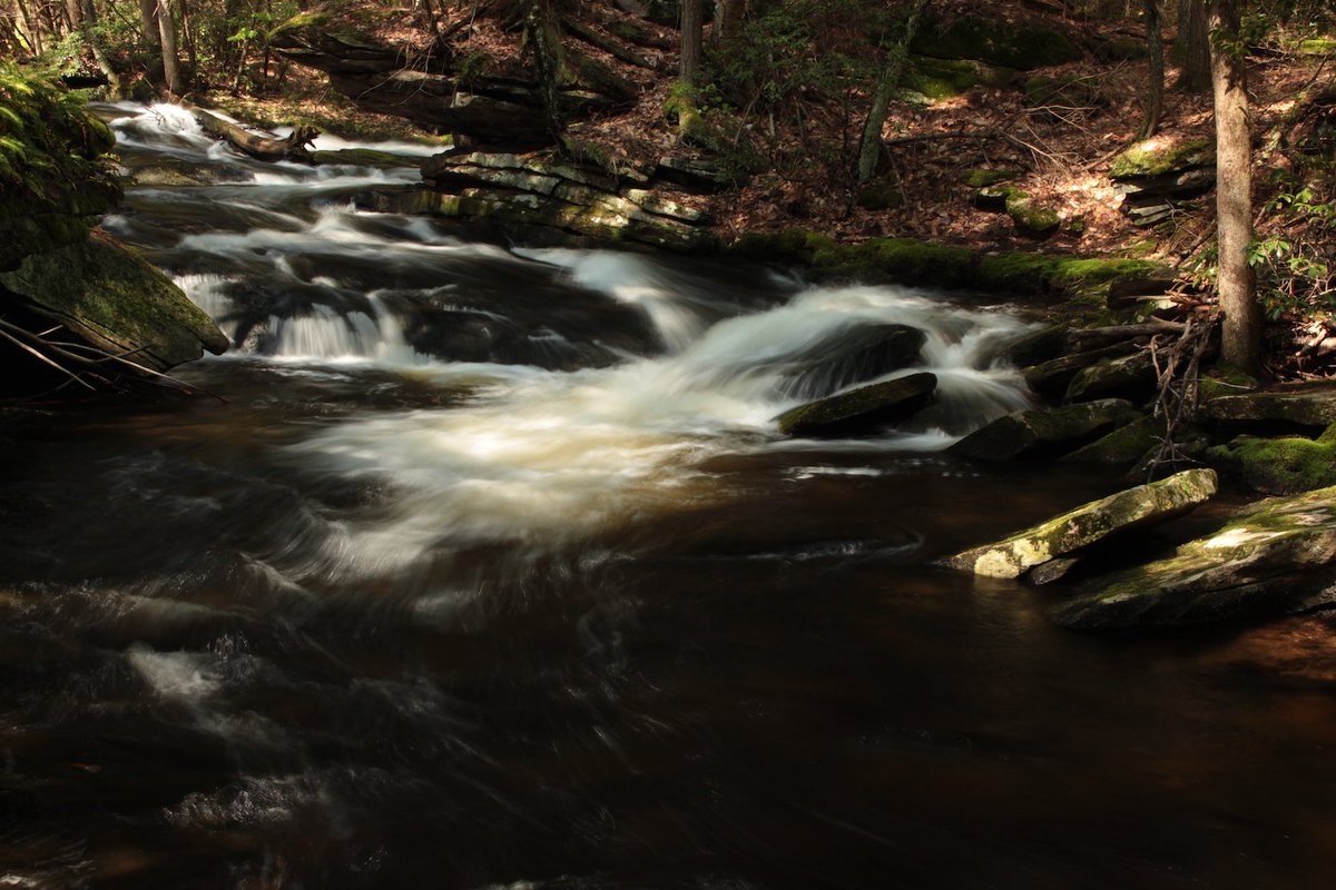 Ed Comeau tweet media