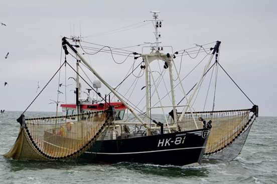 garnalenkotters's tweet photo. HK 81, HANNAH 
#harderwijk
#foppen 
Foto's @Koos_GO58 https://t.co/zso3nfeTj2