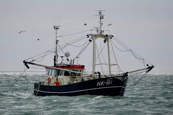 garnalenkotters's tweet photo. HK 81, HANNAH 
#harderwijk
#foppen 
Foto's @Koos_GO58 https://t.co/zso3nfeTj2