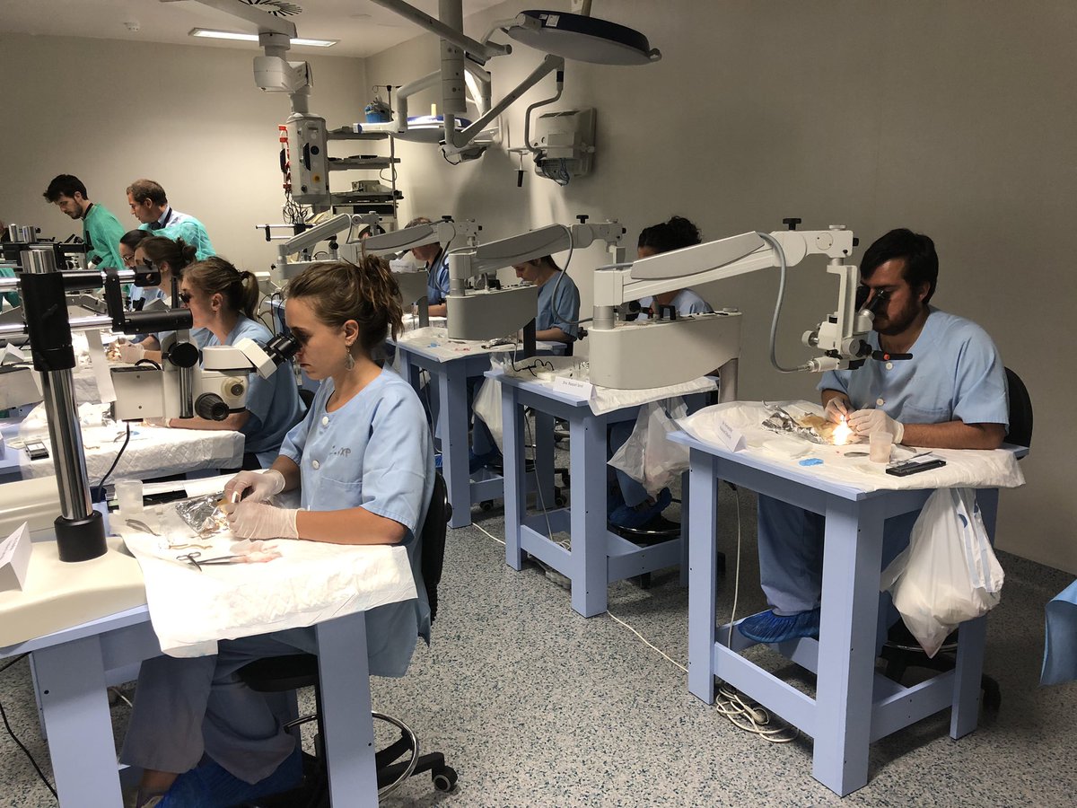 El curso Pedro Marquina de Micro y Mano sigue siendo de referencia nacional y cada vez más internacional. Es gratificante volver a mis orígenes como cirujano, rodearme de tantos maestros y poder transmitir lo que a mi me transmitieron. #graciasPedro
