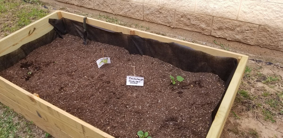 kmfarek's tweet photo. Help! The amazing members of Redemption Church helped build planting boxes for our up and coming garden club but we now need SOIL for our plants to grow! If you can bring a bag of gardening top soil to help us out, we would absolutely love you! Just drop it off with Mr. Salinas! https://t.co/2oCvCDWIlv