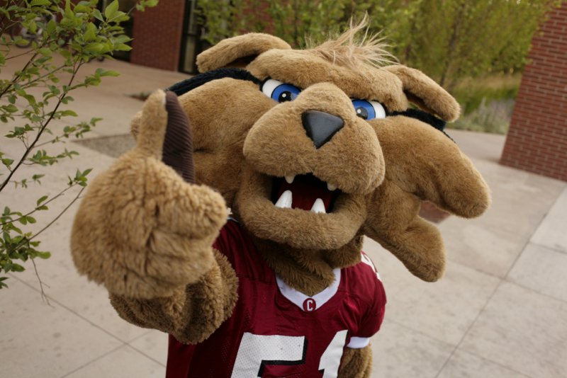 Network to Get Work tweet media