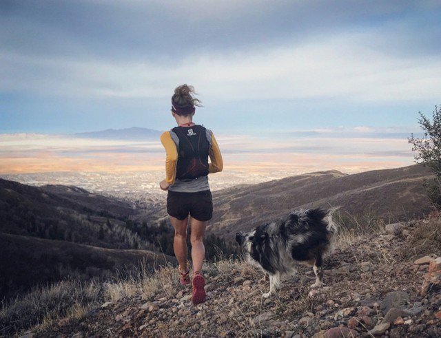 SalomonSLC's tweet photo. Our tails are wagging in anticipation of our group run tomorrow! Come learn how to best care for your pup on trail. Meet here at the store by 6! #trailrunning #mansbestfriend #TimetoPlay https://t.co/Lhv06tOxLG https://t.co/Z5c4Y0lTA6
