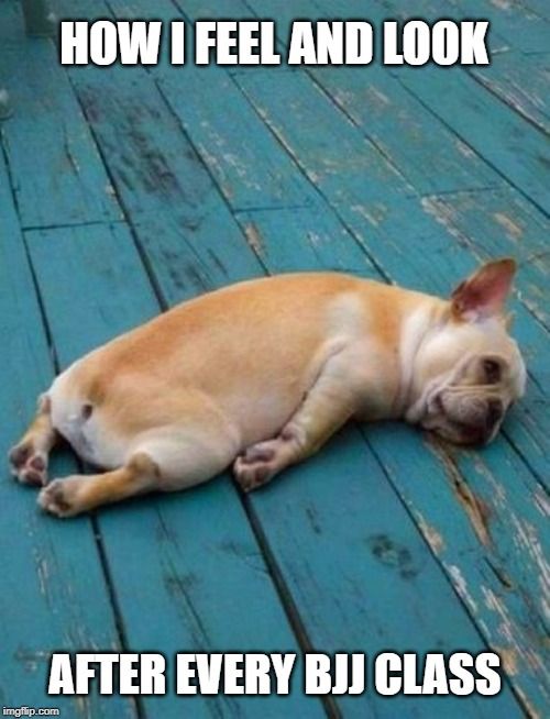jitzscreen's tweet photo. dead tired!! #gotrain #jitzscreen https://t.co/WlC11uYFXu