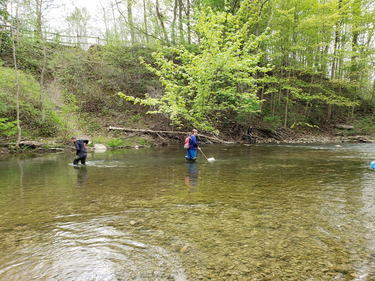 Carleyz13's tweet photo. Exploring &amp; Checking water quality at Medway creek with @UTRCAmarketing and the Grade 10s from @davison_ss with @mskalexander @glasgowbrat @sellesom #experientiallearning #rethinksecondary #getoutside https://t.co/IS8ipkA2Jy