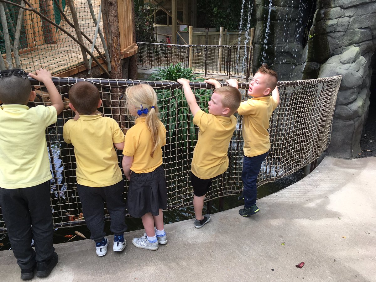 portmeadp's tweet photo. We had a fantastic time at Plantasia!! #pmdprec https://t.co/wCRqu1Qu55