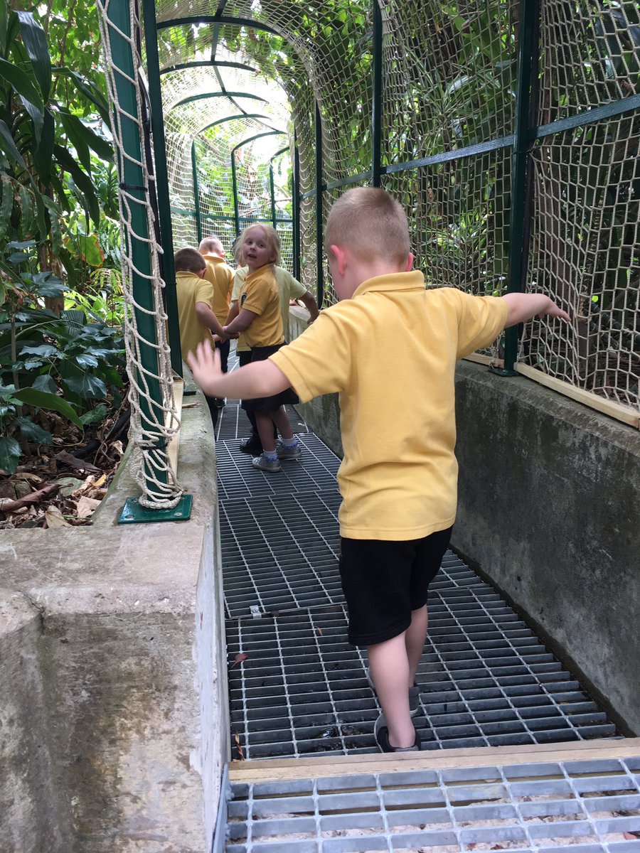 portmeadp's tweet photo. We had a fantastic time at Plantasia!! #pmdprec https://t.co/wCRqu1Qu55