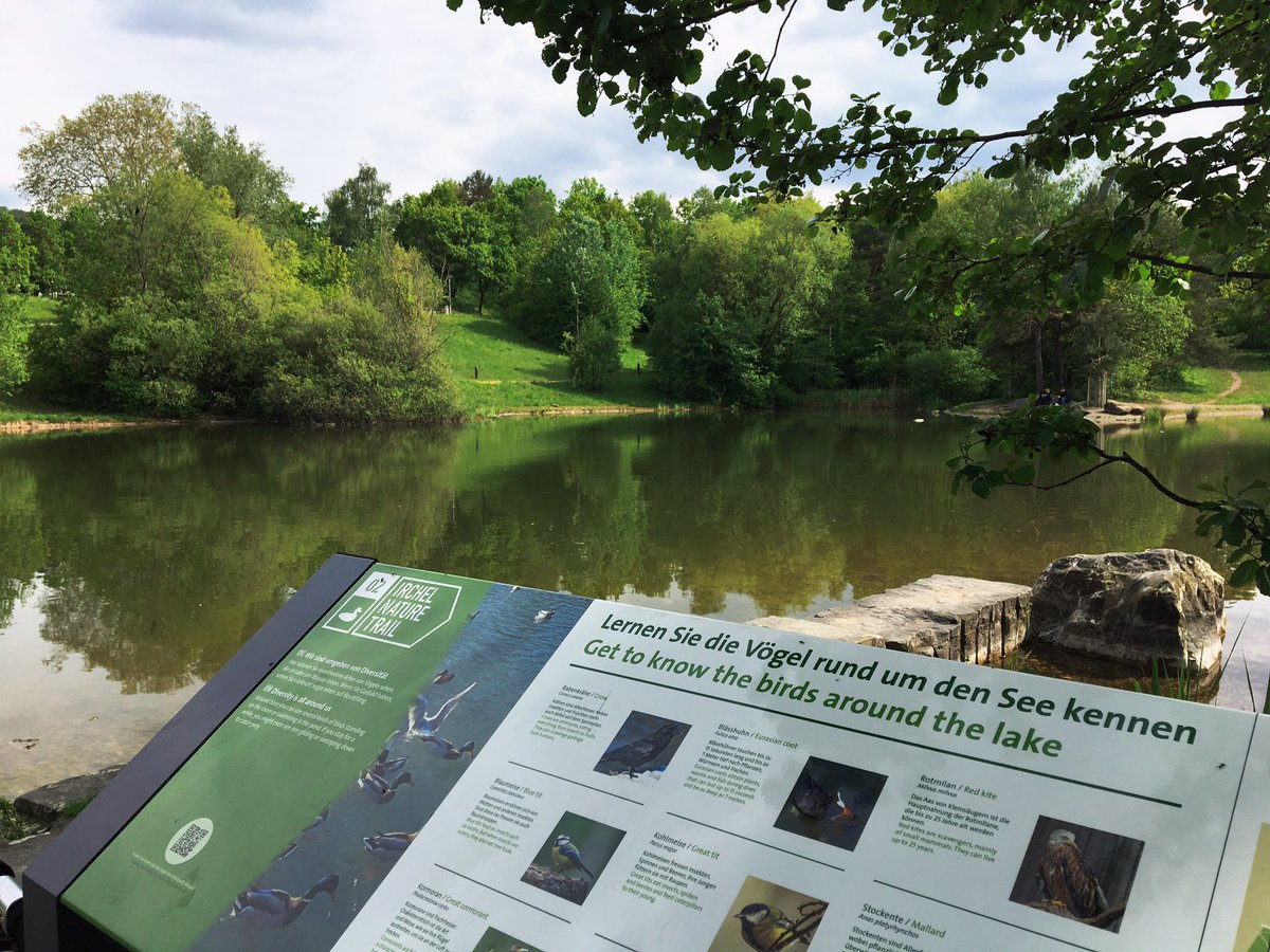 nadia_cci's tweet photo. #ircheltrail was opened today! What a fun way to explore #irchelpark and learn more about urban #biodiversity in #Zurich 🌳🐝🐞🦋🦆🌿
Kudos to @RangerNutkin & @malmeja for leading this great project 👏👏👏 https://t.co/rXYjDpcIAy